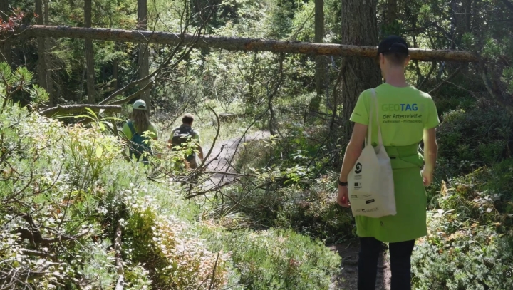 Researchers surveying species at Mittagskogel