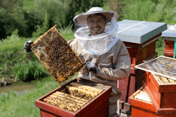 Beekeeping Vulkanrot